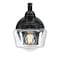 Westinghouse Fixture Wall Outdoor 60W Dusk to Dawn Eddystone, Matte Black Clear Seed Glass 6121200 - alternate 1